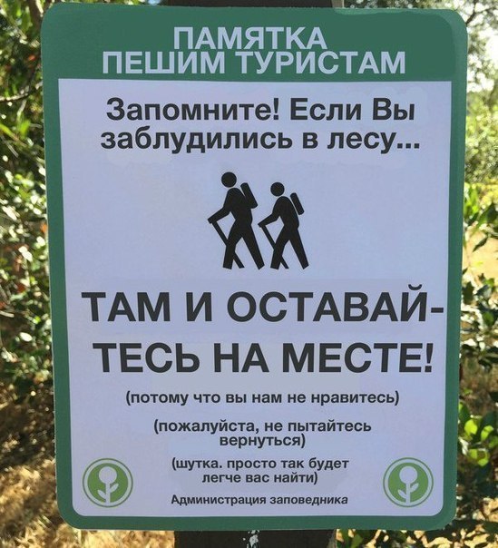 OGqf-Dk9wTU.jpg