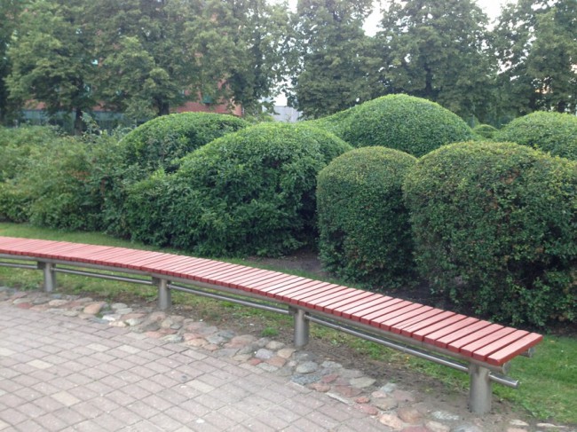image.jpg