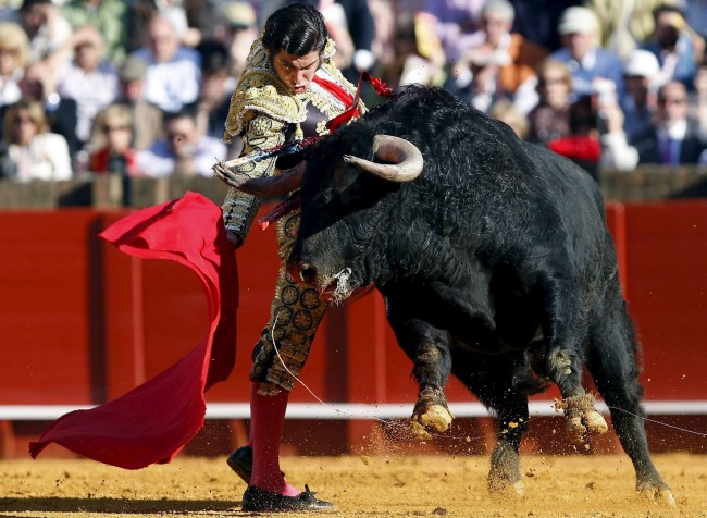 morantedelapueblaabril09.jpg