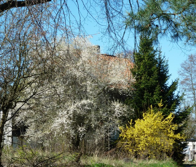 P1230124+.jpg