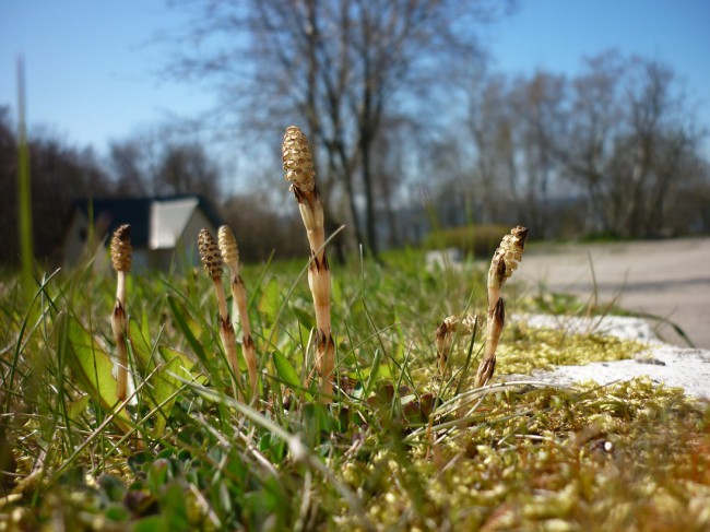 P1230121+.jpg