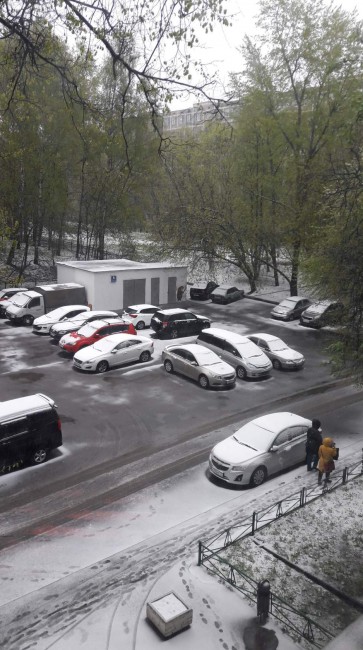 звесн.jpg