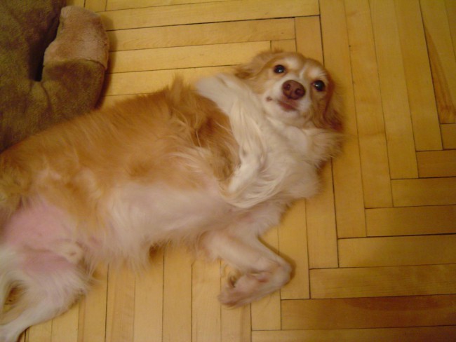 image.jpg