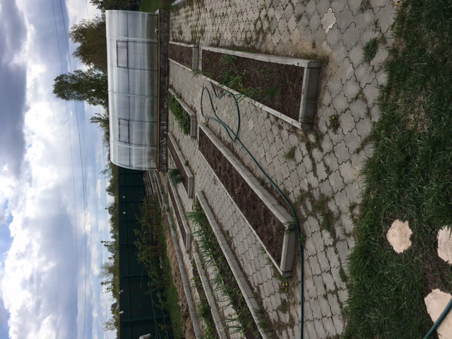 Грядок 15...