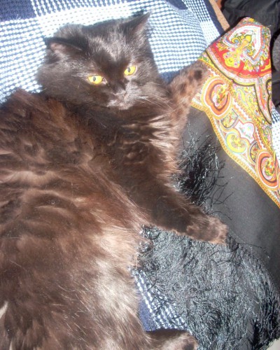 DSCN2651.JPG