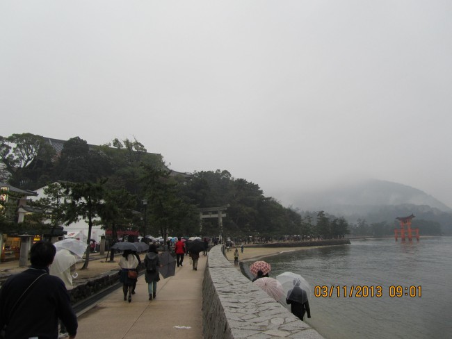 IMG_2013.jpg