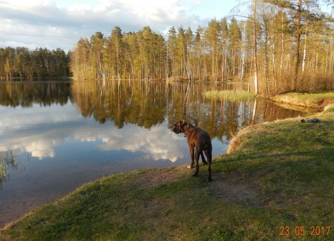 Касабланка
