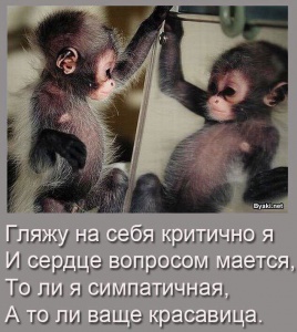 Красавица.jpg