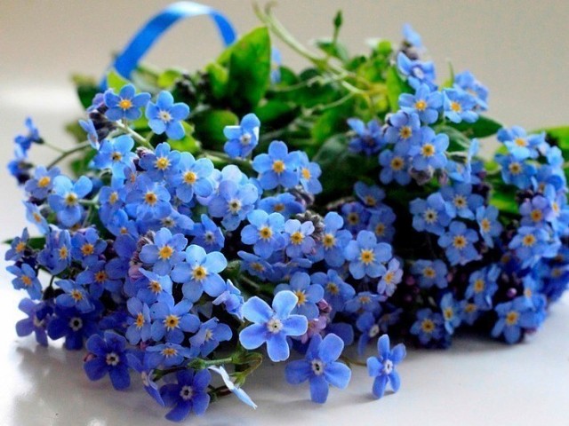 image (1).jpg