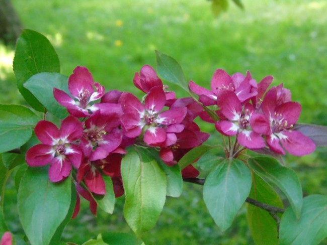 DSC03134.JPG
