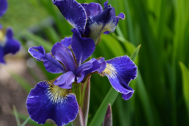 DSC_5973.JPG