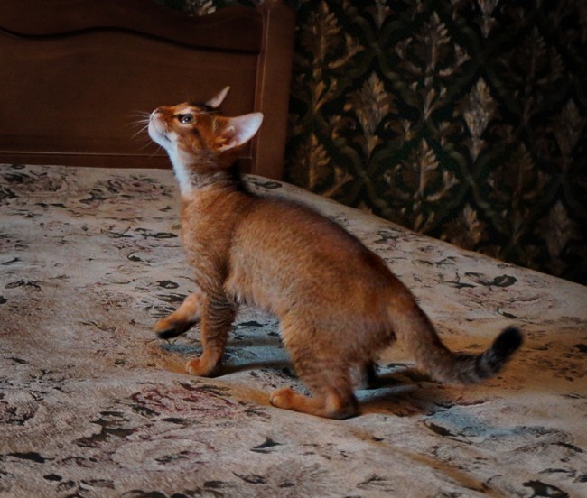 DSC01598а.jpg