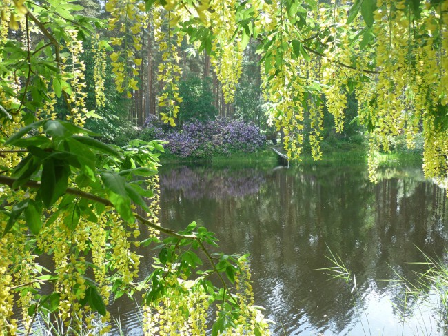P1240034+.jpg