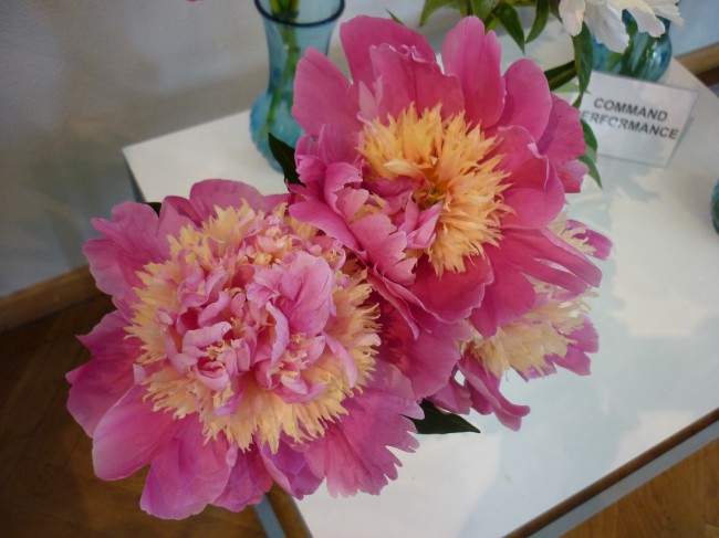 P1240114+.jpg