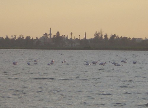 P2132134.jpg