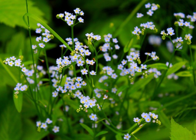 TDq_6-y48L4.jpg