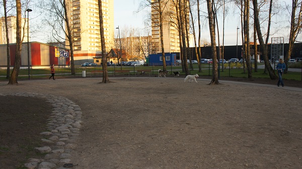 Площадка 1.jpg