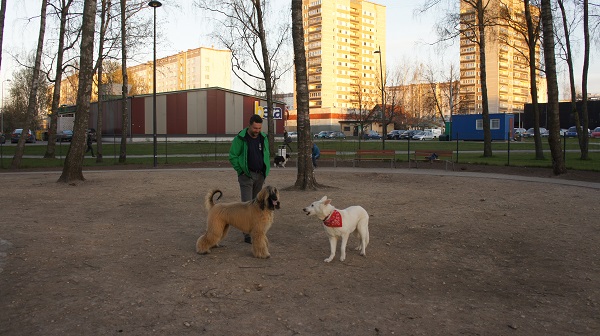 площадка2.jpg