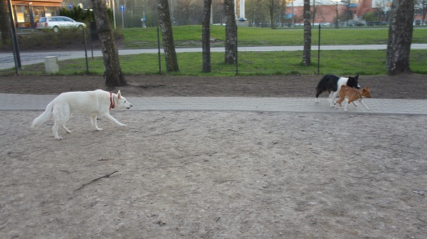 площадка3.jpg