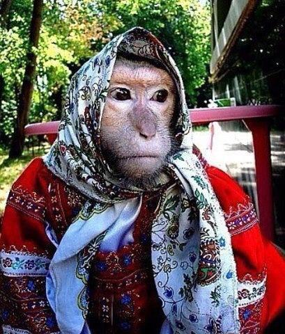 обез.jpg