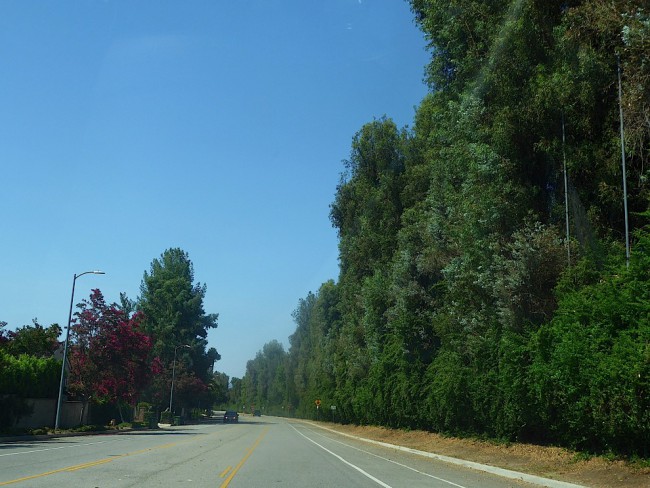 P1070246.jpg