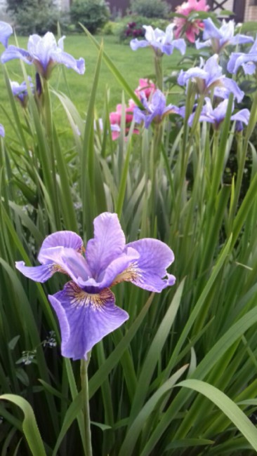 20170714_113238.jpg