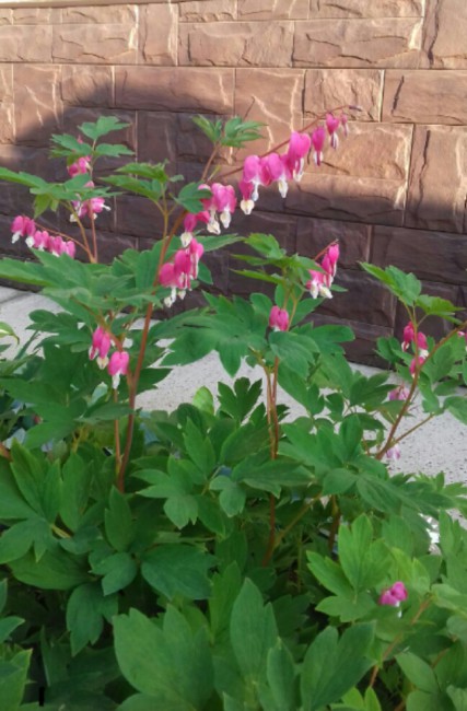 20170714_200854.jpg