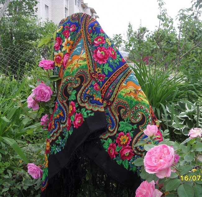 Джейраны 332,  Екатерина Регунова,