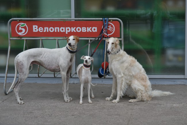 DSC_6820 мал.JPG