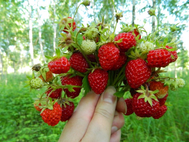 DSCN8832ьмьрм.jpg