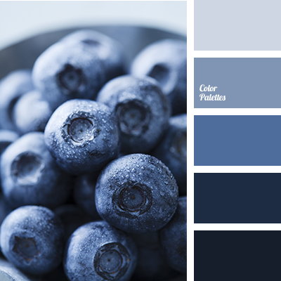 Blueberry 1.png