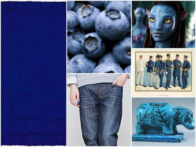Blueberry 2.jpg