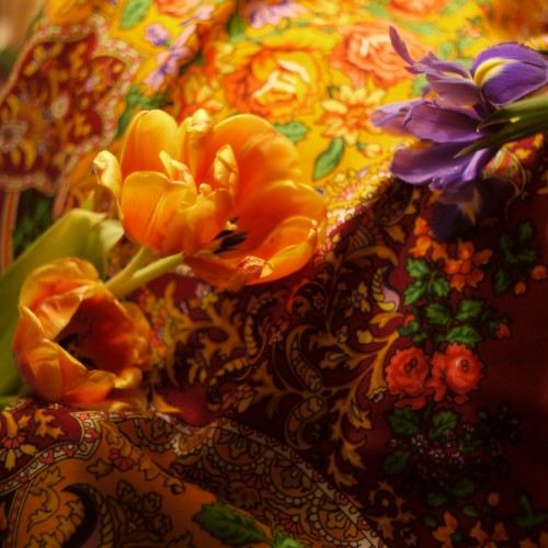 P1100414.JPG