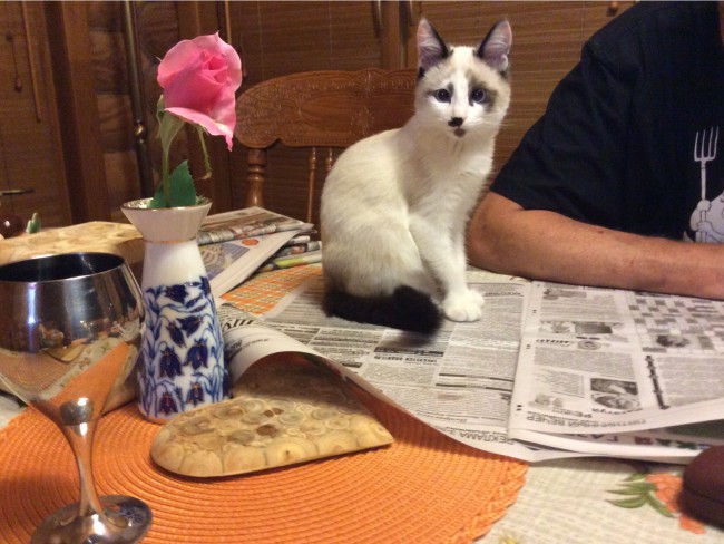 image.jpg