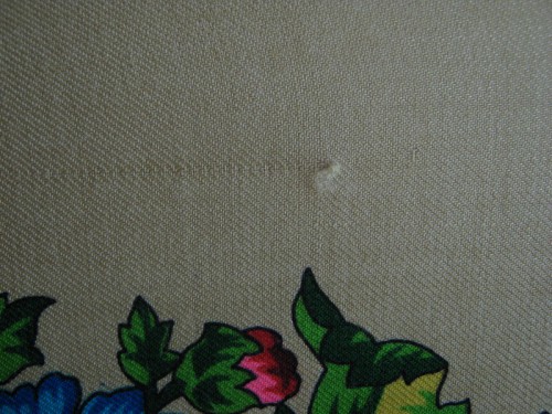 IMG_2809_resize.JPG