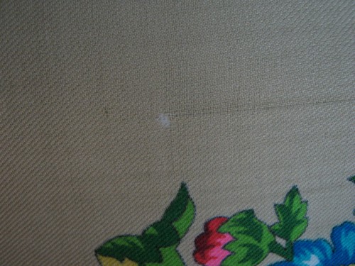 IMG_2808_resize.JPG