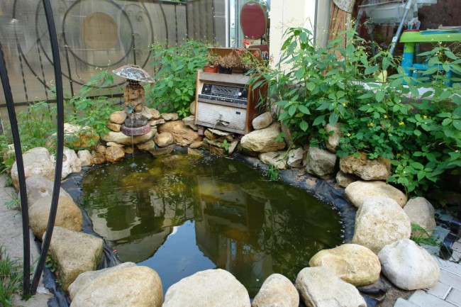 DSC02682.JPG