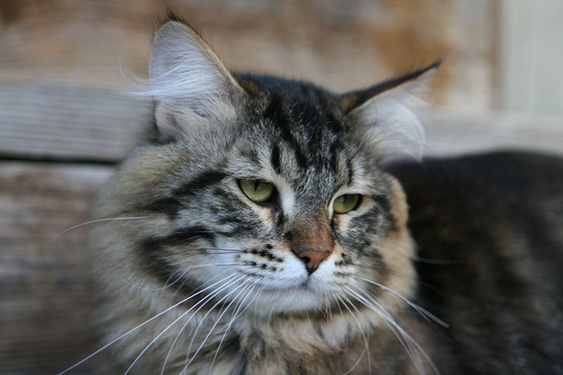 ум IMG_9068.jpg