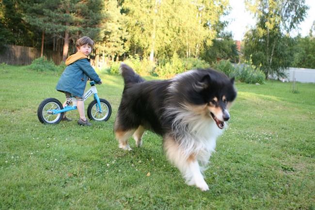 ум IMG_8947.jpg