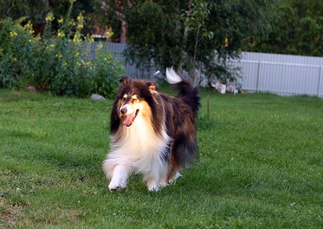 ум IMG_8997.jpg