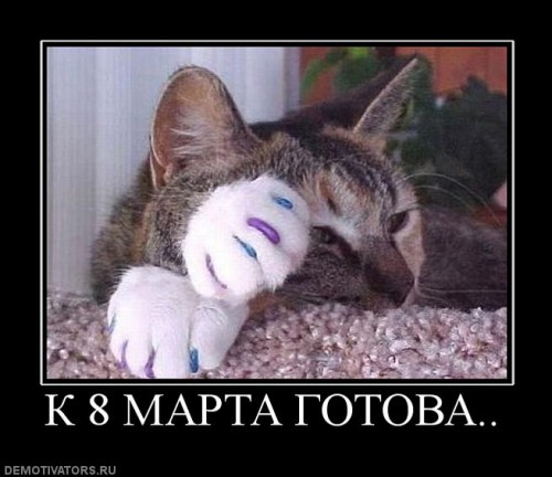 559674_k-8-marta-gotova.jpg