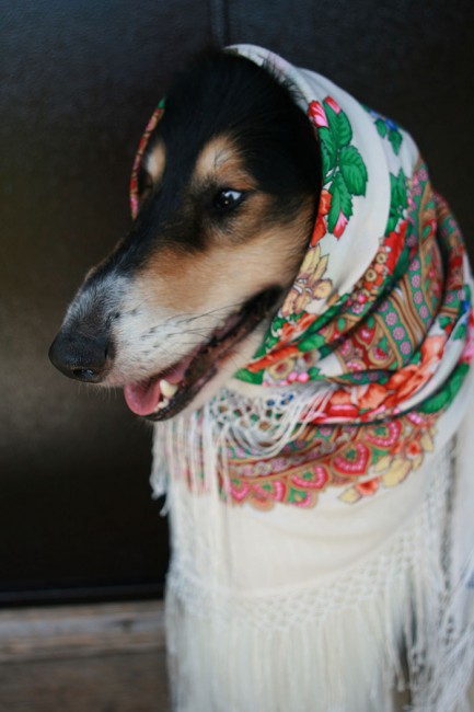МАТВЕЙ IMG_9118.jpg
