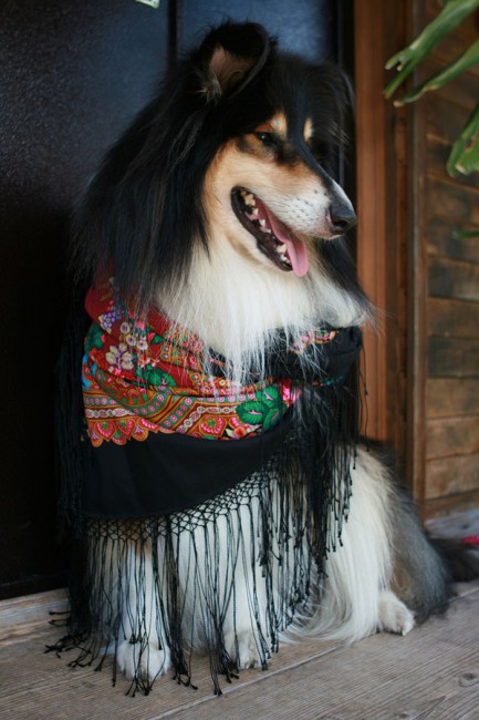 матвей IMG_9160.jpg