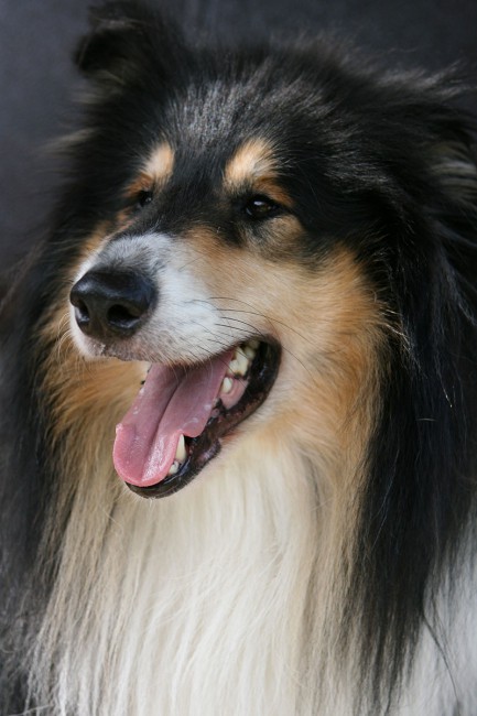 матвей IMG_9360.jpg