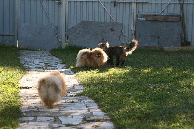 уменьш IMG_9391.jpg