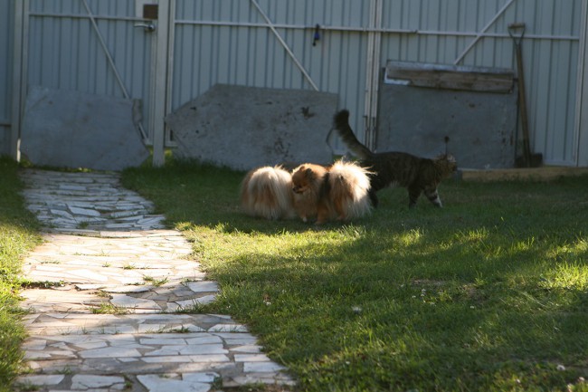 уменьш IMG_9393.jpg