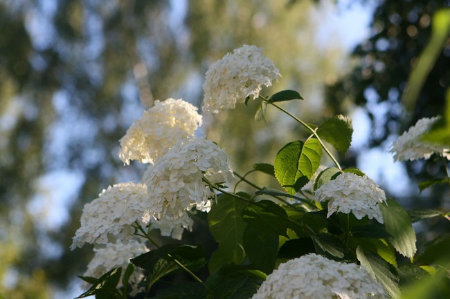 уменьш IMG_9414.jpg
