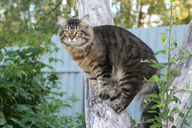 уменьш IMG_9516.jpg