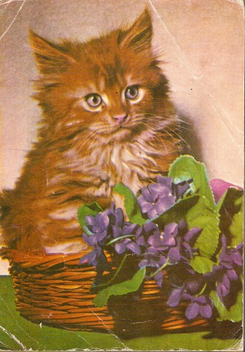 сканирование0002.jpg
