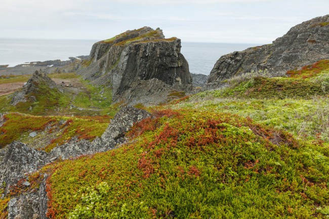 IMG_9799.JPG